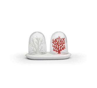 Солонка и перечница Coral Bleaching