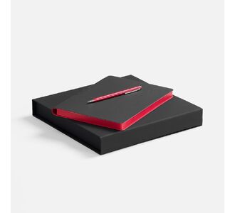 Набор Flexpen Black, красный