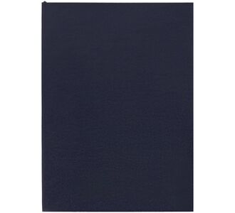 Ежедневник Flat Light, недатированный, иссиня-черный