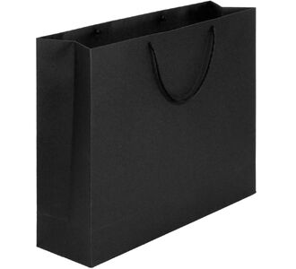 Пакет бумажный Ample Plus L, черный