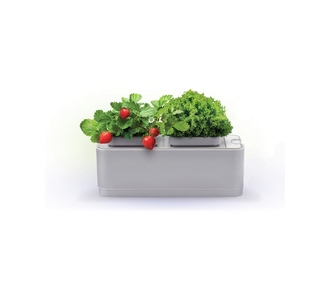 Компактный смарт-сад «iGarden»