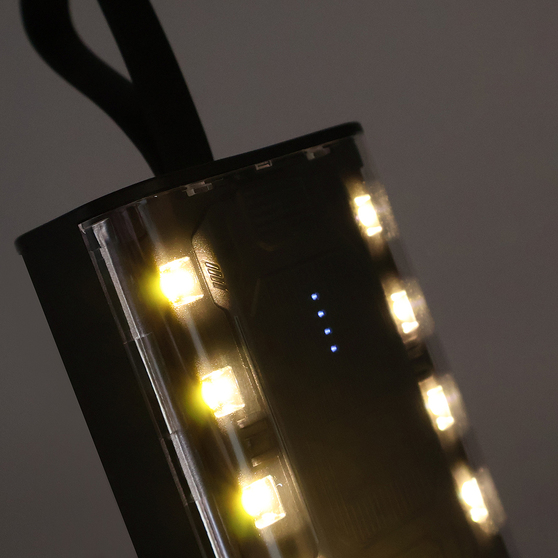 Внешний аккумулятор Courage, 5000 Mah, черный-7