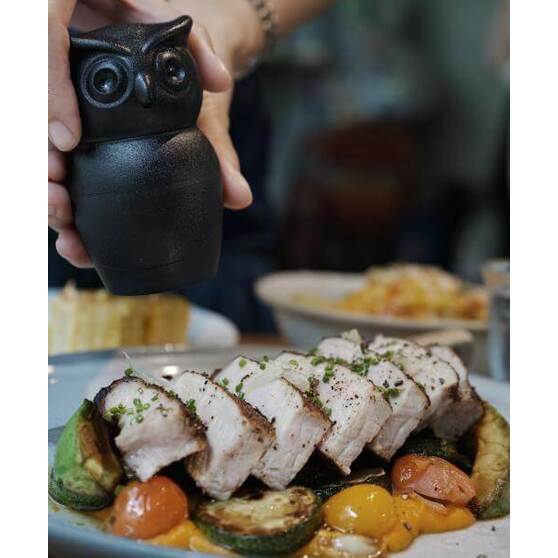 МЕЛЬНИЦА ДЛЯ СПЕЦИЙ Tasty Owl, чёрная-3
