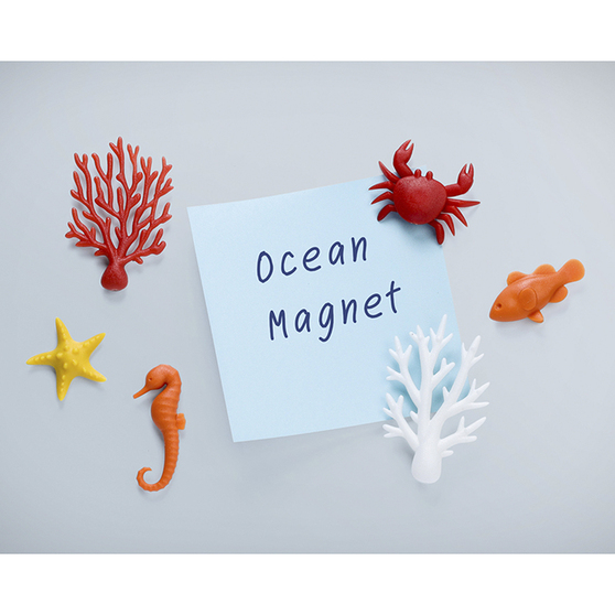 Магниты Ocean Ecology-1