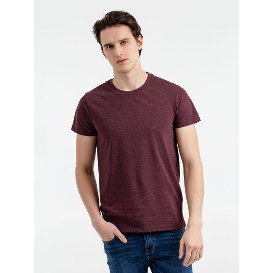 Футболка мужская Regent Fit 150, бордовый меланж-2