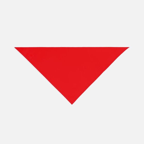 Шейный платок Bandana, красный-3