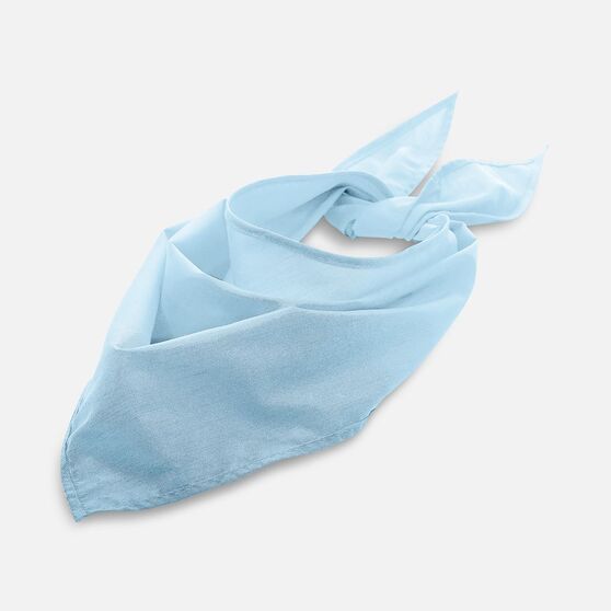 Шейный платок Bandana, голубой-1