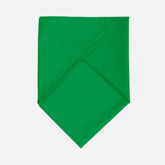 Шейный платок Bandana, ярко-зеленый-2