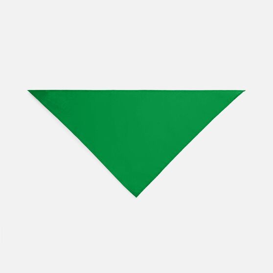 Шейный платок Bandana, ярко-зеленый-3