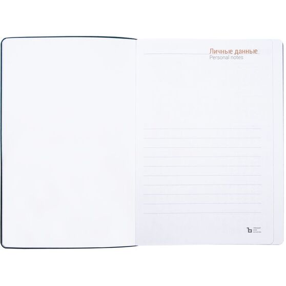 Ежедневник Flexpen Color, датированный, синий-8