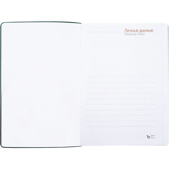 Ежедневник Flexpen Color, датированный, зеленый-6