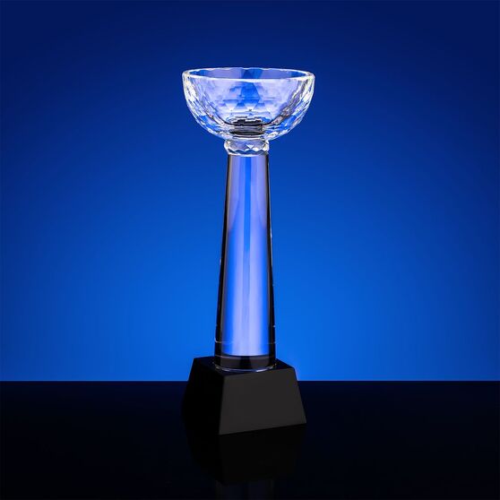 Кубок Cupture, большой-3
