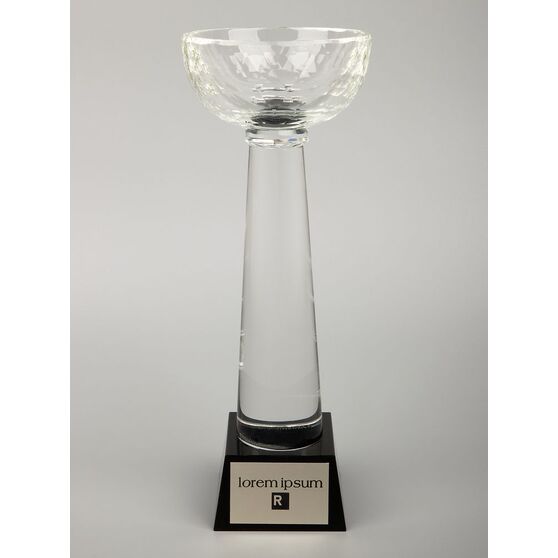 Кубок Cupture, большой-5