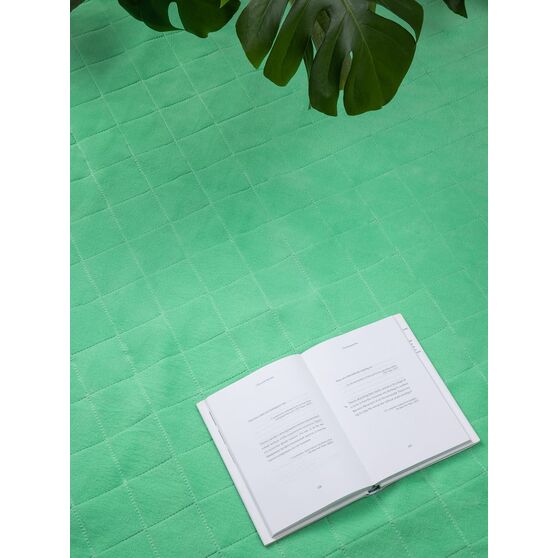 Плед для пикника Soft & Dry 2, светло-зеленый-8