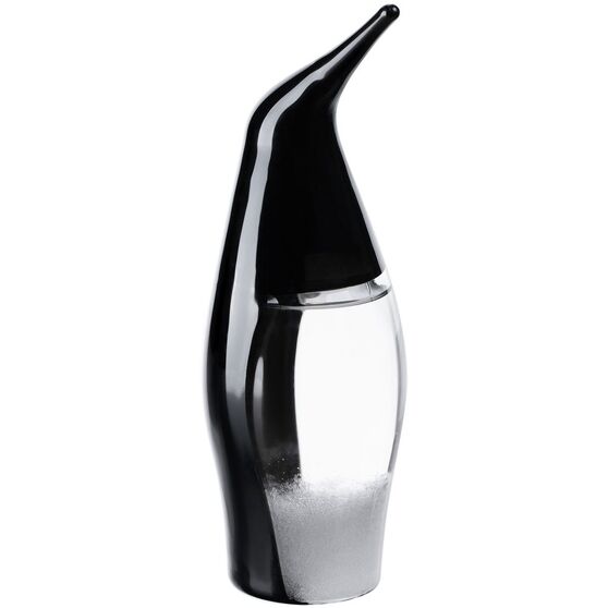 Штормгласс Penguin, черный-1