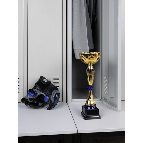 Кубок Awardee, средний, синий-5
