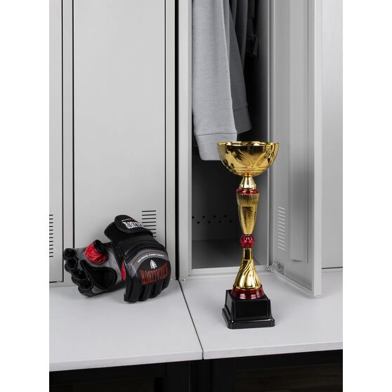 Кубок Awardee, средний, красный-5