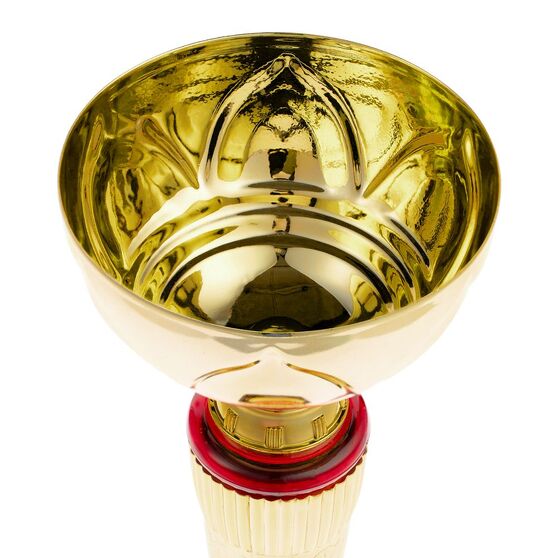 Кубок Awardee, большой, красный-3