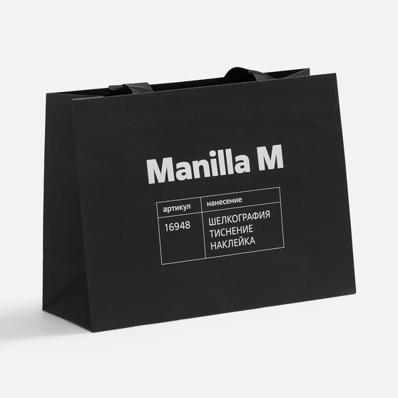 Пакет бумажный Manilla L, черный-5