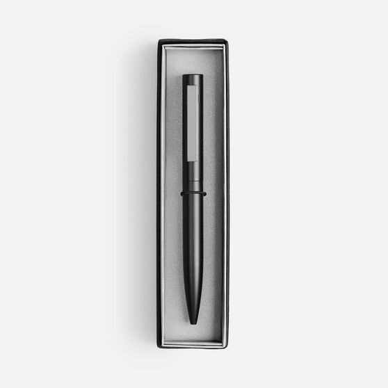 Ручка шариковая Inkolor в футляре, черная с серым-2