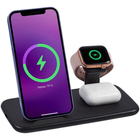 Зарядная станция Smart Nest, черная-1