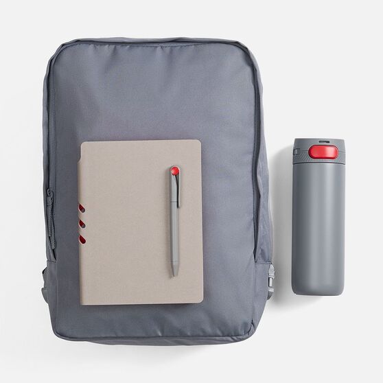 Набор Flexpen Travel, серый с красным-2