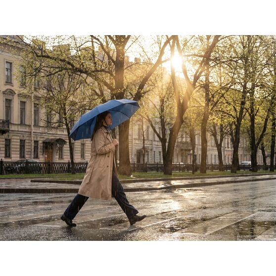Зонт складной Regenfall, темно-синий-11