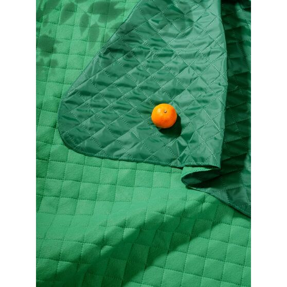 Плед для пикника Soft & Dry, зеленый-6