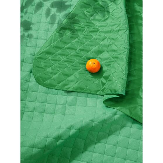 Плед для пикника Soft & Dry, светло-зеленый-5