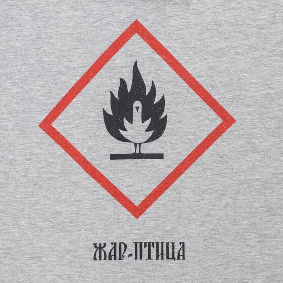 Футболка «Жар-птица», серый меланж-3