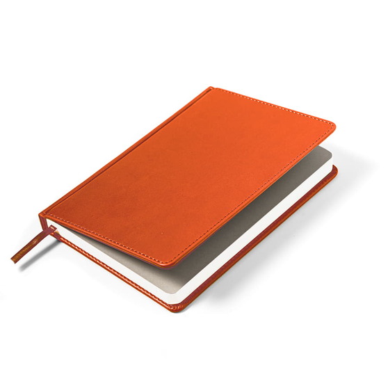 Ежедневник недатированный Campbell, формат А5, в линейку-4