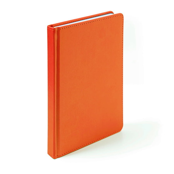 Ежедневник недатированный Campbell, формат А5, в линейку-7