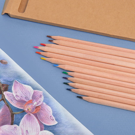 Цветные карандаши KINDERLINE middle,12 цветов-5