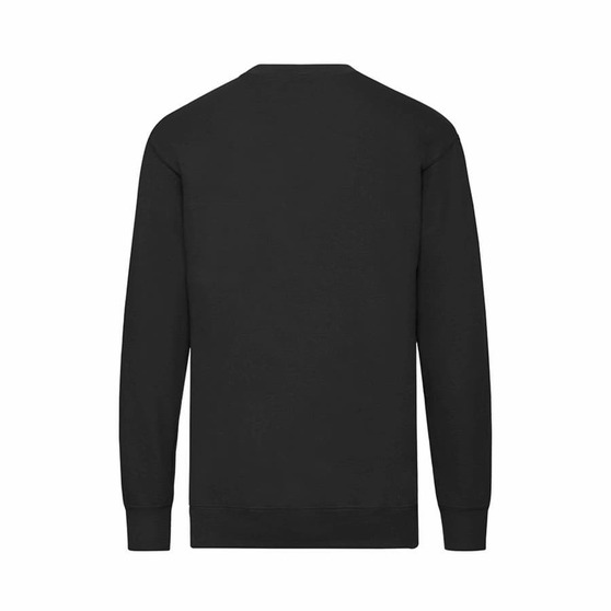 Свитшот без начеса LIGHTWEIGHT SET-IN SWEAT 240-2