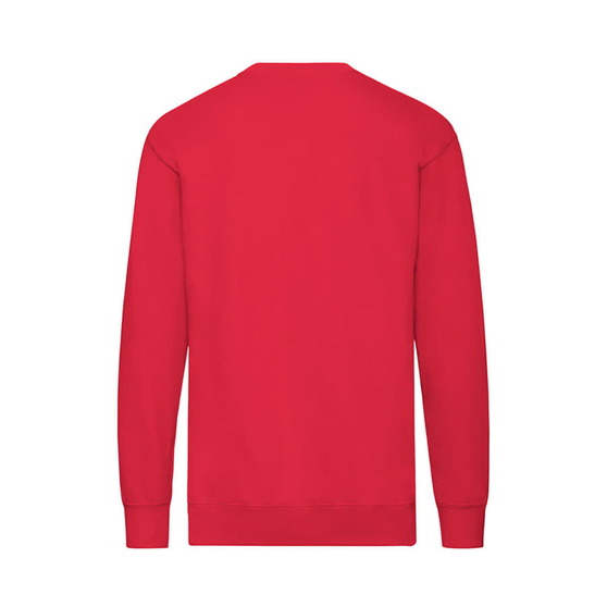 Свитшот без начеса LIGHTWEIGHT SET-IN SWEAT 240-2