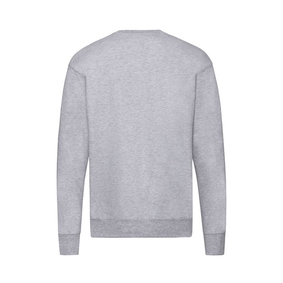 Свитшот без начеса LIGHTWEIGHT SET-IN SWEAT 240-2