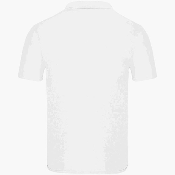 Рубашка поло мужская ORIGINAL POLO 175-6
