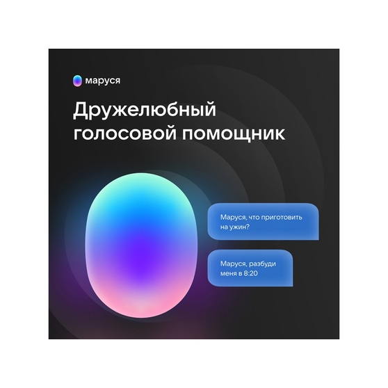 Умная колонка VK «Капсула» с голосовым помощником Марусей, 30 Вт-4