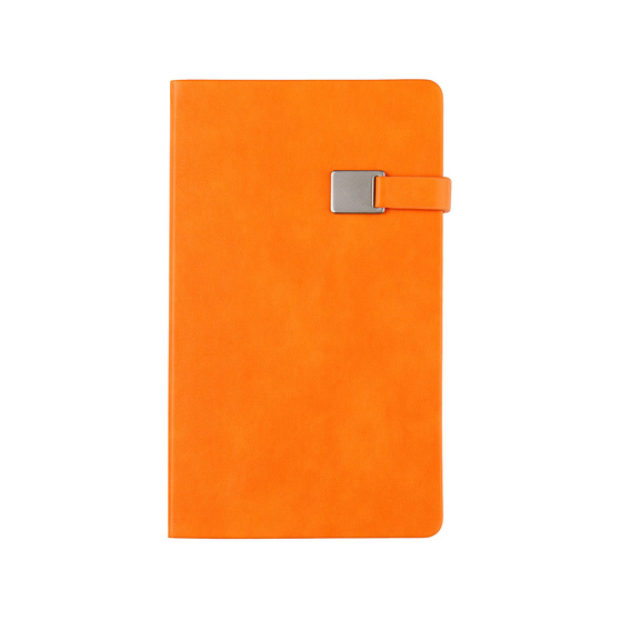 Ежедневник недатированный А5 «Premier»-3