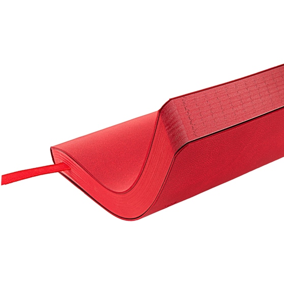 Ежедневник недатированный А5 «Megapolis Color Flex»-6