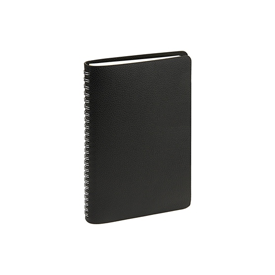 Ежедневник недатированный А5 «Alba»-2