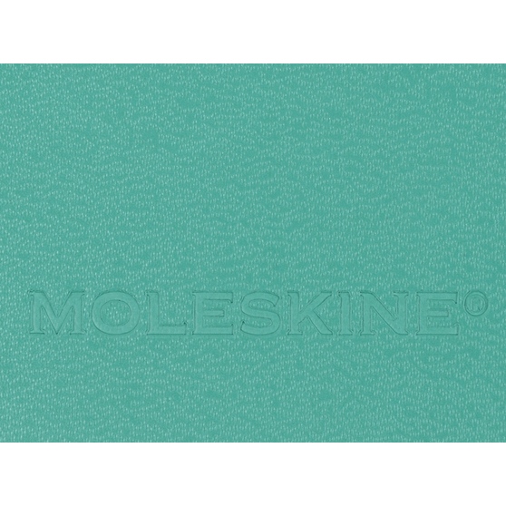 Записная книжка А5 (Large) Classic (в линейку)-6