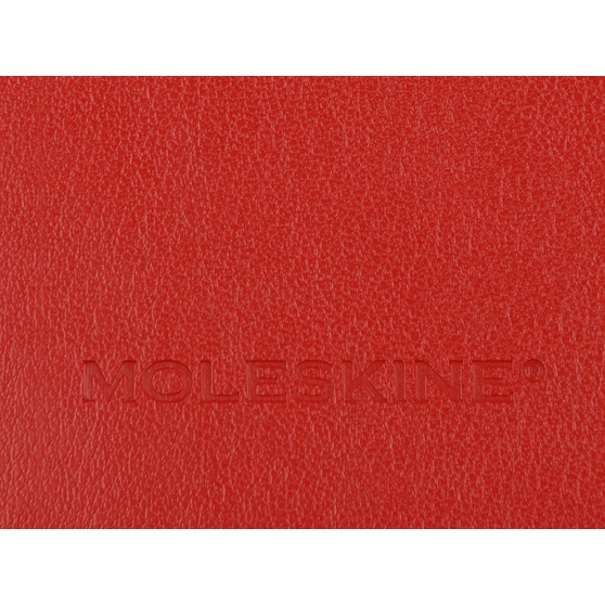 Записная книжка А5 (Large) Classic Soft (в линейку)-5