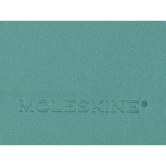 Записная книжка А5 (Large) Classic Soft (в линейку)-5