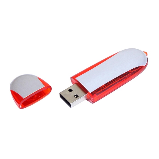 USB 2.0- флешка промо на 16 Гб овальной формы-1