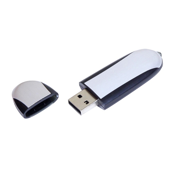 USB 2.0- флешка промо на 16 Гб овальной формы-1