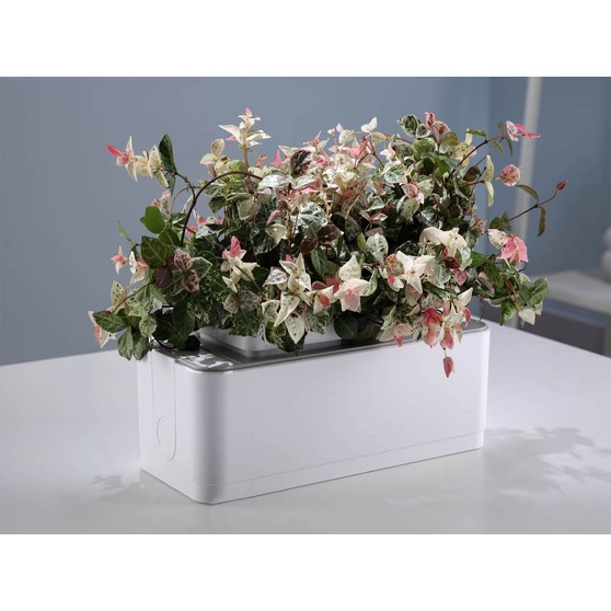 Компактный смарт-сад «iGarden»-6