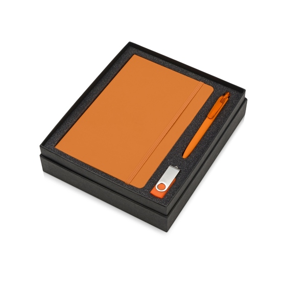 Подарочный набор Vision Pro Plus soft-touch с флешкой, ручкой и блокнотом А5-1