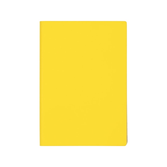 Бизнес-блокнот А5 «C1» soft-touch-1