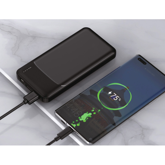 Зарядное устройство "Ten" 10000 mAh-3